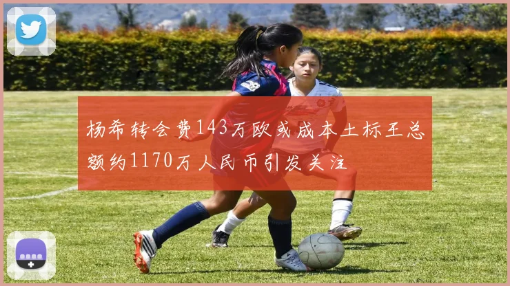 杨希转会费143万欧或成本土标王总额约1170万人民币引发关注